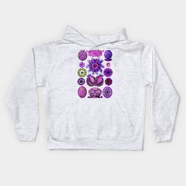 Ernst Haeckel Ascidiae Sea Squirts  Purple Kids Hoodie by Scientistudio